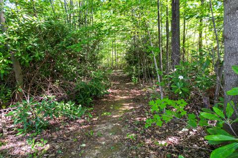 11 Davis Lane Chuckey Tn 37641, Chuckey, TN 37641 photo 16