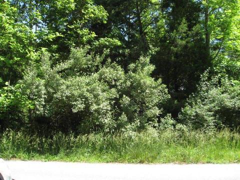 lot9 Preston Place Abingdon Va 24211, Abingdon, VA 24211