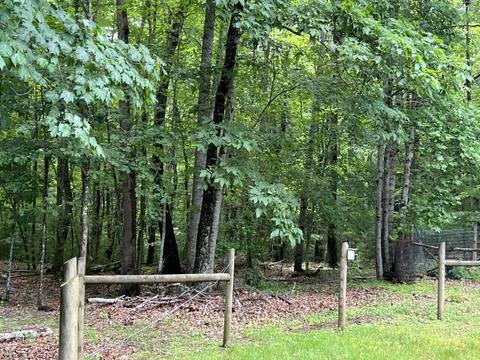 3935 Laurel Fork Road Rocky Gap Va 24366, Rocky Gap, VA 24366 photo 11