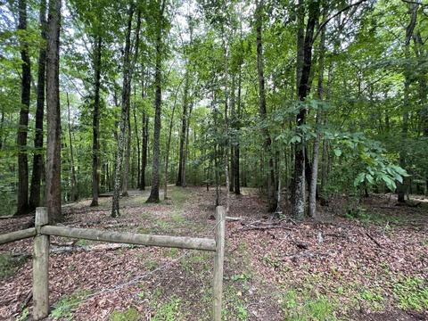 3935 Laurel Fork Road Rocky Gap Va 24366, Rocky Gap, VA 24366 photo 28