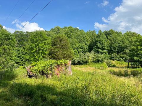 7762 Arrowhead Road Pound Va 24279, Pound, VA 24279 photo 3