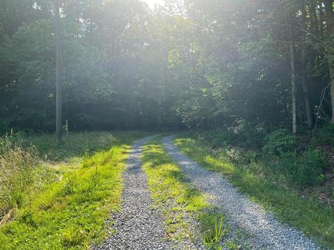 7762 Arrowhead Road Pound Va 24279, Pound, VA 24279 photo 10