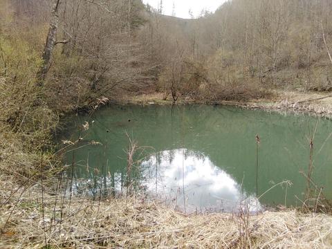 7762 Arrowhead Road Pound Va 24279, Pound, VA 24279 photo 7