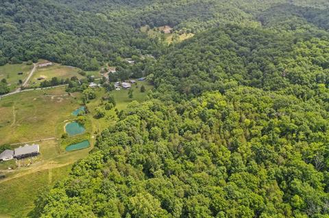 1560 Fodderstack Mountain Loop Greeneville Tn 37745, Greeneville, TN 37745 photo 6