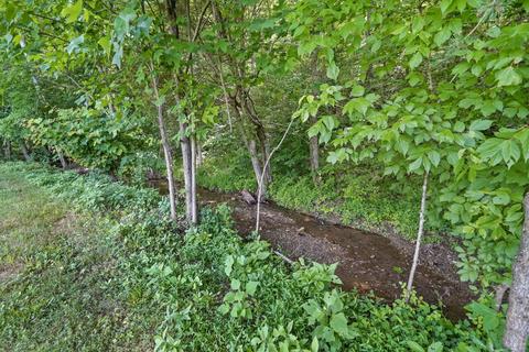 1560 Fodderstack Mountain Loop Greeneville Tn 37745, Greeneville, TN 37745 photo 32