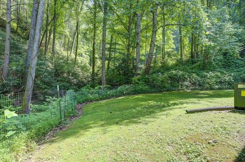 104 Tolley Lane Erwin Tn 37650, Erwin, TN 37650 photo 7