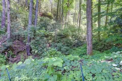 104 Tolley Lane Erwin Tn 37650, Erwin, TN 37650 photo 11