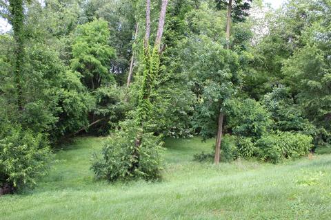 18481 Ironwood Loop Abingdon Va 24210, Abingdon, VA 24210 photo 26