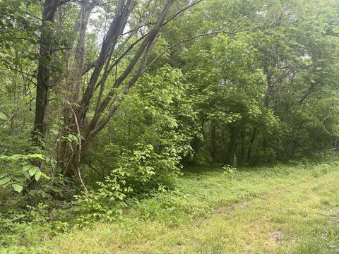 lot11 12 Speedwell Church Road Bulls Gap Tn 37711, Bulls Gap, TN 37711