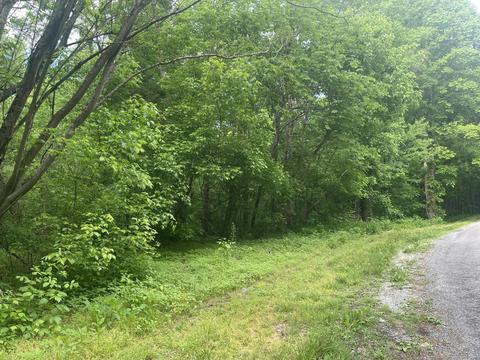 lot13 14 Speedwell Church Road Bulls Gap Tn 37711, Bulls Gap, TN 37711