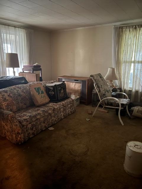 322 Tucker Street Erwin Tn 37650, Erwin, TN 37650 photo 2
