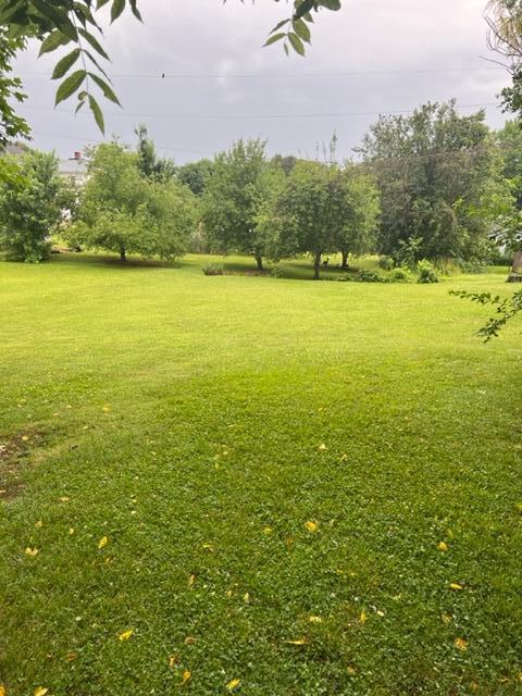 322 Tucker Street Erwin Tn 37650, Erwin, TN 37650 photo 19