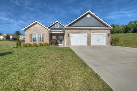 1377 Savin Falls Gray Tn 37615, Gray, TN 37615 photo 1