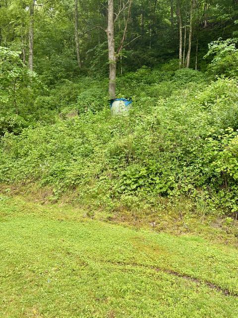 459 Simerly Creek Road Hampton Tn 37658, Hampton, TN 37658 photo 29