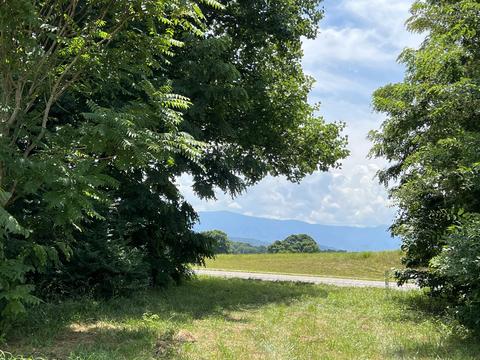 45 Clear Springs Road Limestone Tn 37681, Limestone, TN 37681
