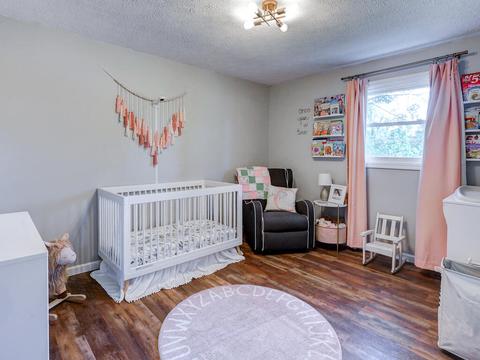 519 Old Gray Station Road Gray Tn 37615, Gray, TN 37615 photo 29
