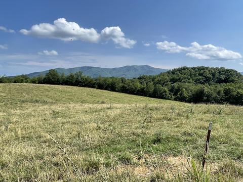 00 Cedar Creek Road Greeneville Tn 37743, Greeneville, TN 37743