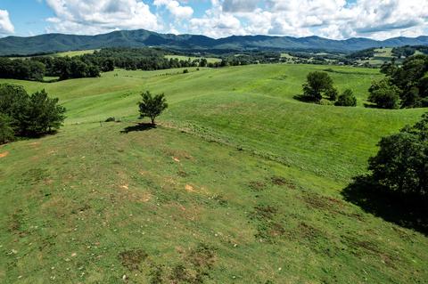 825 Birdwell Mill Road Greeneville Tn 37743, Greeneville, TN 37743