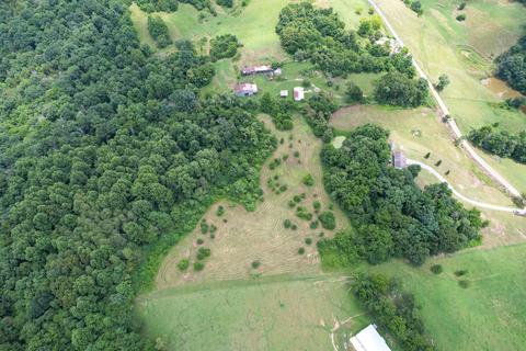 579 Pitt Loop Chuckey Tn 37641, Chuckey, TN 37641 photo 46