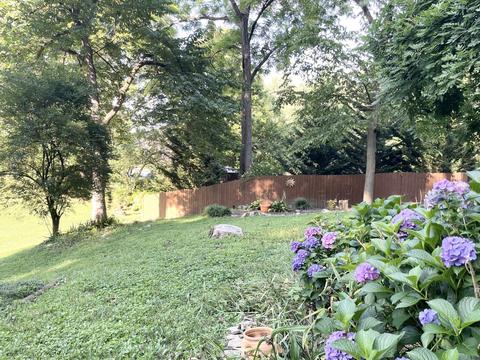 3 Willmar Circle Johnson City Tn 37604, Johnson City, TN 37604 photo 64