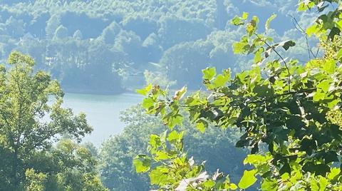 18 Horseshoe Cove Dr Butler Tn 37640, Butler, TN 37640