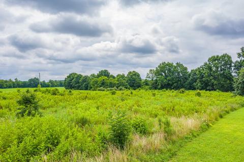 488 Bible Road Mohawk Tn 37810, Mohawk, TN 37810 photo 11