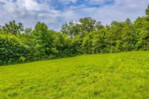 488 Bible Road Mohawk Tn 37810, Mohawk, TN 37810 photo 25