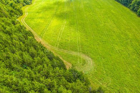 488 Bible Road Mohawk Tn 37810, Mohawk, TN 37810 photo 35