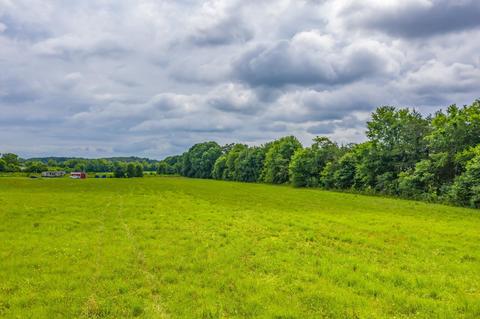 488 Bible Road Mohawk Tn 37810, Mohawk, TN 37810 photo 24