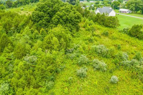 488 Bible Road Mohawk Tn 37810, Mohawk, TN 37810 photo 6