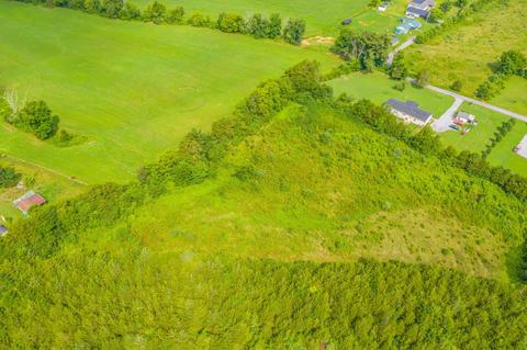 488 Bible Road Mohawk Tn 37810, Mohawk, TN 37810 photo 30