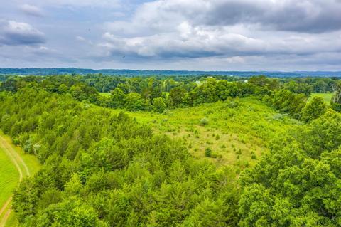 488 Bible Road Mohawk Tn 37810, Mohawk, TN 37810 photo 7