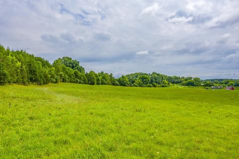 488 Bible Road Mohawk Tn 37810, Mohawk, TN 37810 photo 23