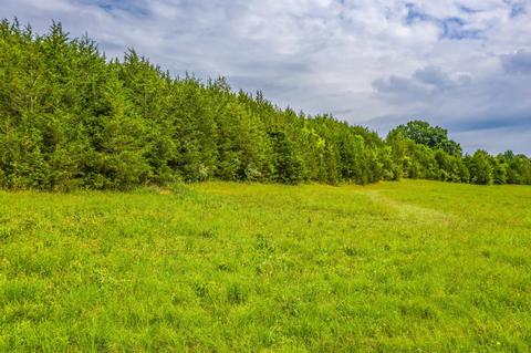 488 Bible Road Mohawk Tn 37810, Mohawk, TN 37810 photo 26