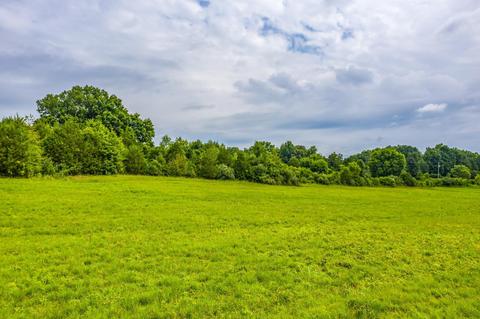 488 Bible Road Mohawk Tn 37810, Mohawk, TN 37810 photo 27