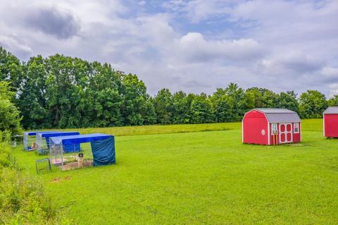 488 Bible Road Mohawk Tn 37810, Mohawk, TN 37810 photo 21