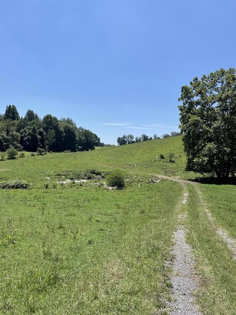 tbd Highway 81 Road Jonesborough Tn 37659, Jonesborough, TN 37659