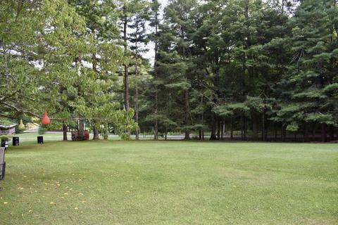 9237 Forest Road Road Coeburn Va 24230, Coeburn, VA 24230 photo 12