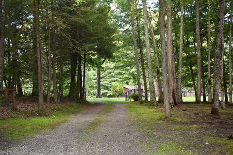 9237 Forest Road Road Coeburn Va 24230, Coeburn, VA 24230 photo 6