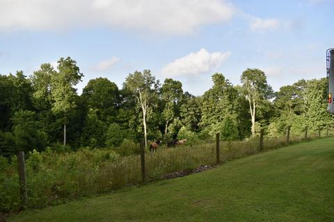 9237 Forest Road Road Coeburn Va 24230, Coeburn, VA 24230 photo 8