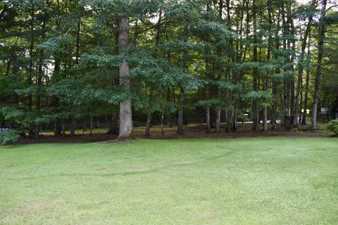 9237 Forest Road Road Coeburn Va 24230, Coeburn, VA 24230 photo 14