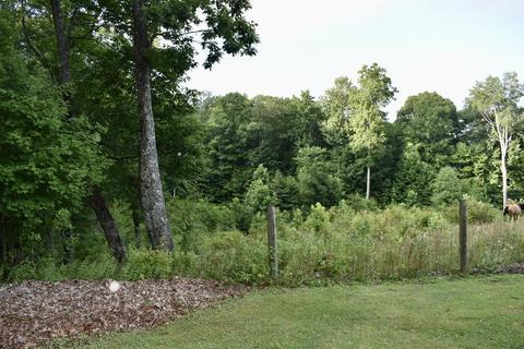 9237 Forest Road Road Coeburn Va 24230, Coeburn, VA 24230 photo 7