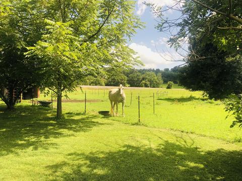 215 Pat Tilson Lane Erwin Tn 37650, Erwin, TN 37650 photo 10