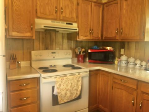 215 Pat Tilson Lane Erwin Tn 37650, Erwin, TN 37650 photo 42
