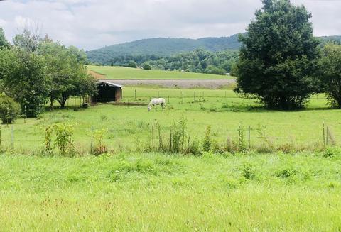 215 Pat Tilson Lane Erwin Tn 37650, Erwin, TN 37650 photo 17