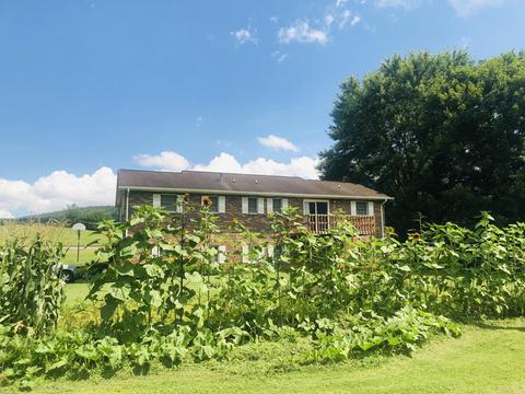 215 Pat Tilson Lane Erwin Tn 37650, Erwin, TN 37650 photo 5