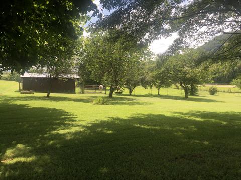 215 Pat Tilson Lane Erwin Tn 37650, Erwin, TN 37650 photo 31