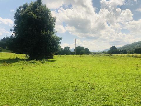 215 Pat Tilson Lane Erwin Tn 37650, Erwin, TN 37650 photo 11