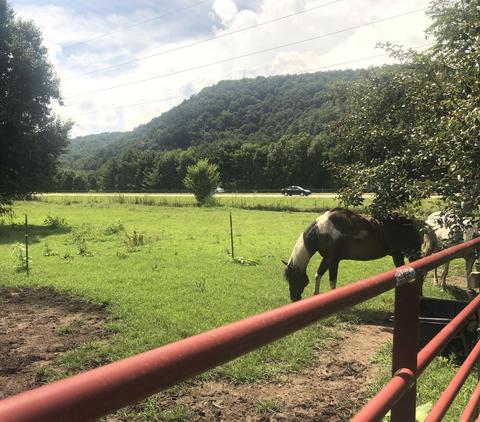 215 Pat Tilson Lane Erwin Tn 37650, Erwin, TN 37650 photo 15