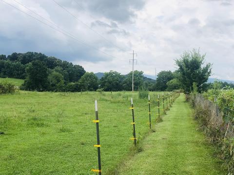 215 Pat Tilson Lane Erwin Tn 37650, Erwin, TN 37650 photo 21